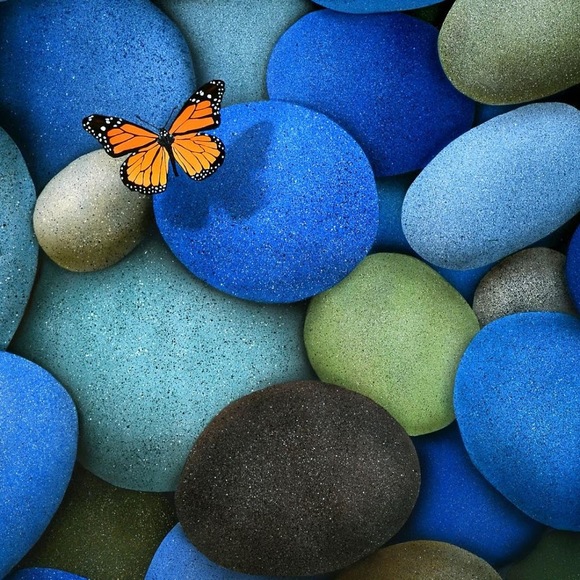 Meet your Posher, Evelyn - Picture 1 of 1